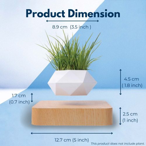 Air bonsai pot