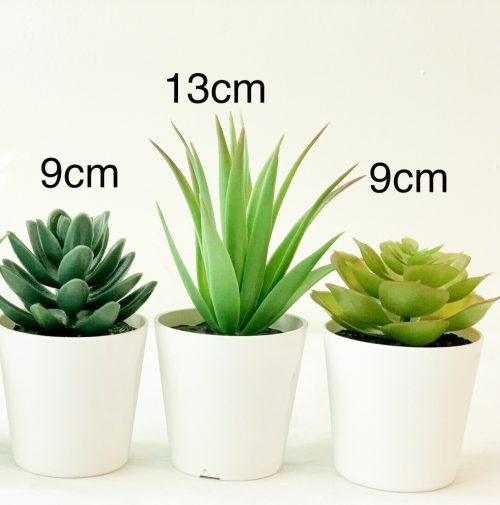 Artificial plants for interiors