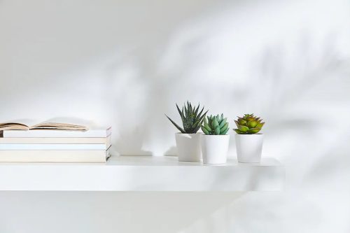 Fake indoor plants
