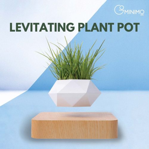 Floating plant pot