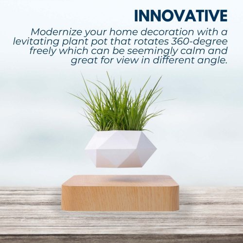 GOMINIMO levitating planter
