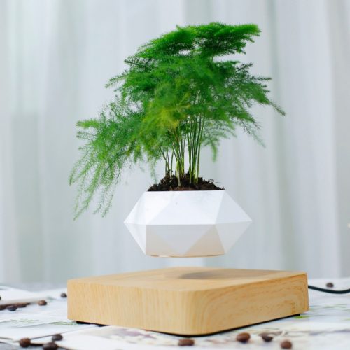 Gravity-defying plant pot