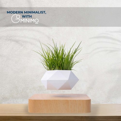 Levitating flower pot