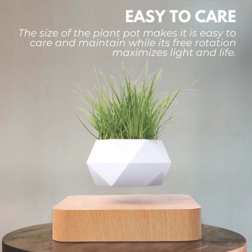 Modern home decor planter