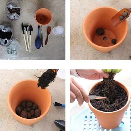 Succulent pot