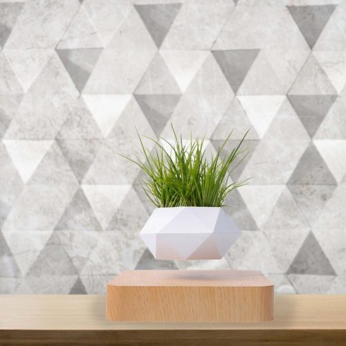 Zen garden accessories