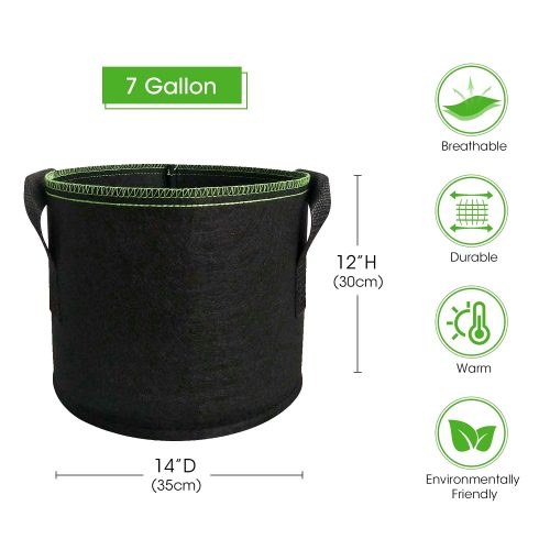 plant grow containers