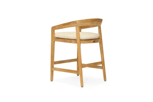 Stylish counter stool