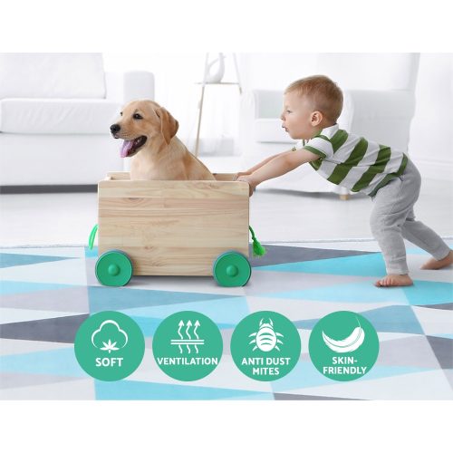 Artiss floor carpet