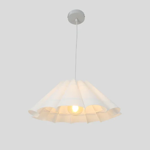ceiling light fixture